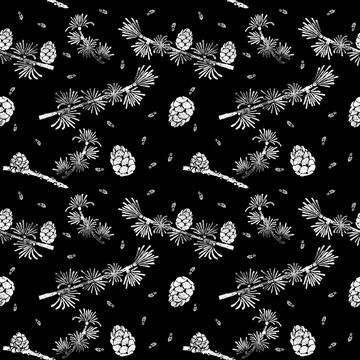 Larch pattern. Larix decidua branch, cone. Hand drawn chalk botanical Stock Illustration