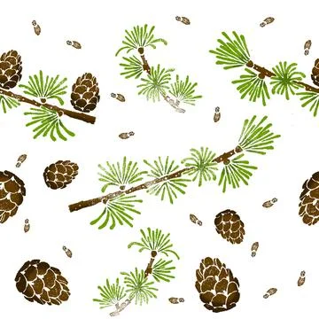 Larch pattern. Larix decidua branch, cone. Hand drawn botanical illustration. Illustrazione stock