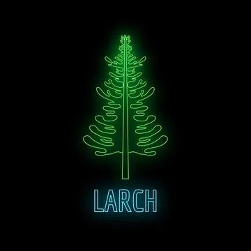 Larch tree neon glowing sign on black background Stock Illustration