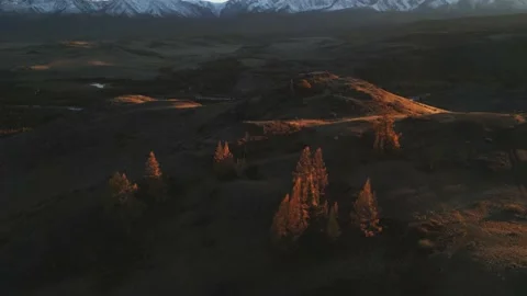 Larch trees illuminated by setting sun in foothills against in mountains 스톡 동영상 218419803