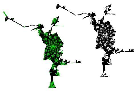 Laredo city - map is designed cannabis leaf Stock Illustration