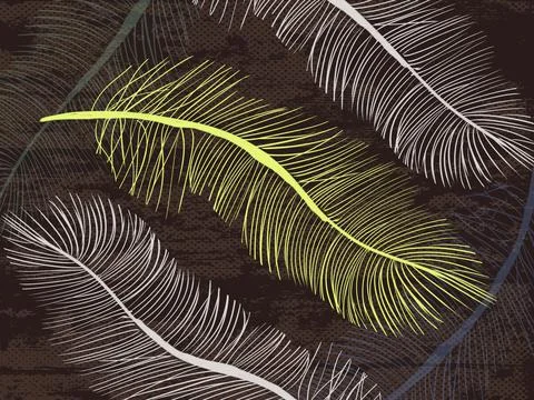 Large abstract multicolored feathers on dark brown grunge background Stock Illustration