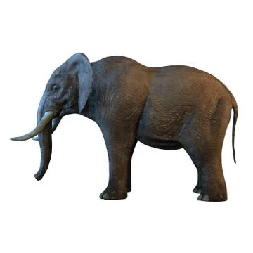 Large African Elephant isolated on white background 3d illustration Stock Illustration
