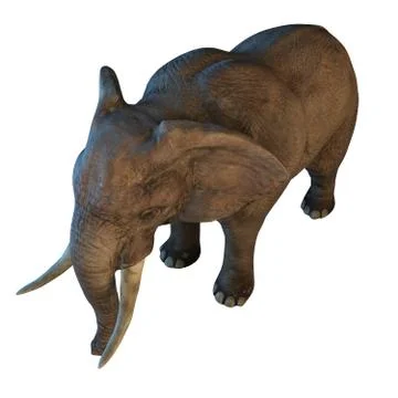 Large African Elephant isolated on white background 3d illustration Stock Illustration