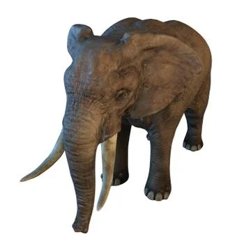 Large African Elephant isolated on white background 3d illustration Stock Illustration