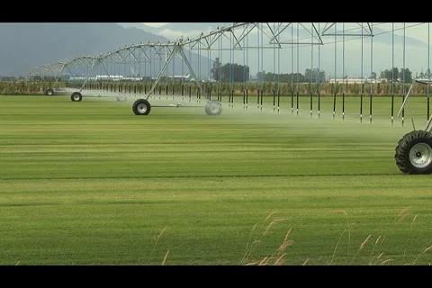 Large Agricultural Irrigation System Time Lapse NTSC DV Stock Footage