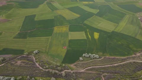 Large Agricultural Lands Stock-Footage 333404906