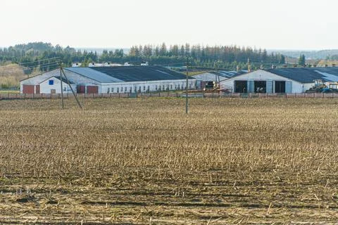 A large agro-industrial complex on the background of an agricultural field. A Stock Photos