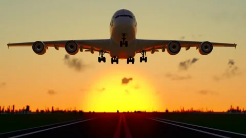 Large aircraft of the airline take off Stock Footage 320663180