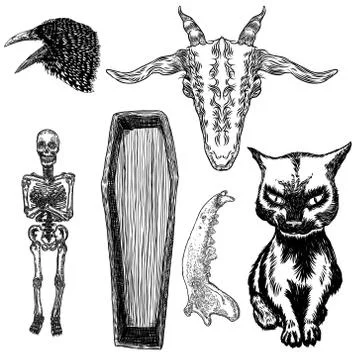 Large alchemy symbol elements set. Birds raven crow, evil goat, coffin with h Stock Illustration