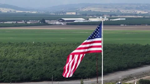 Large American flag waves above vast green agricultural fields and dirt road in Stock Footage 337692799