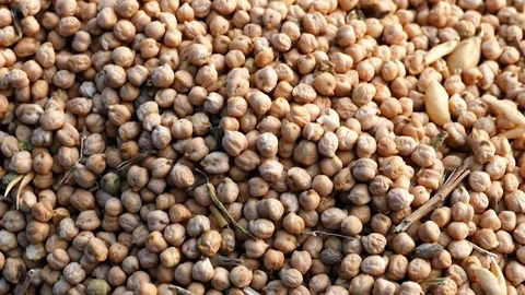 A large amount of dry chickpeas , chickpeas ready to be marketed, Vídeos de archivo 93602883