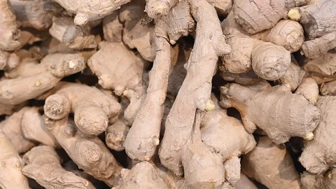 Large amount of fresh raw ginger (Zingiberaceae) Stock Footage 103983077