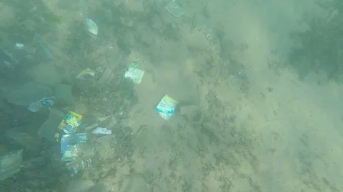 Large amount of garbage at the bottom of the Red Sea Stock Footage 126959221