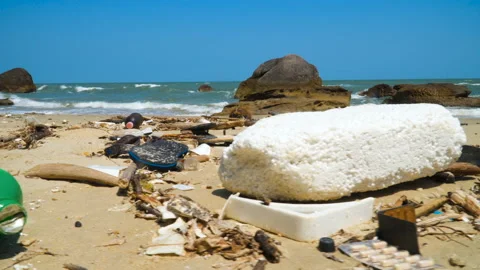 Large amount of plastic trash on ocean beach. Marine pollution Stock Footage 106625323