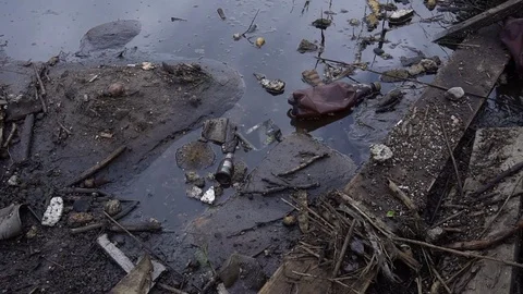 A large amount of trash polluting our waters Stock Footage