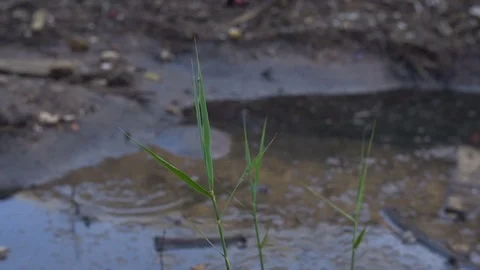 A large amount of trash polluting our waters Video stock 78054889