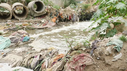 A large amount of trash polluting our waters Stock Footage 139053421