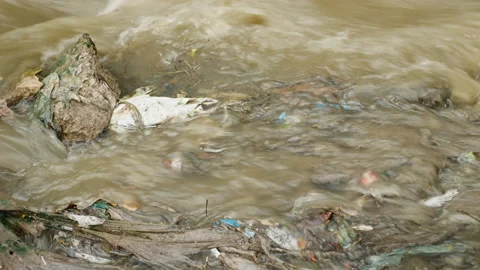A large amount of trash polluting our waters Stock Footage 139338794
