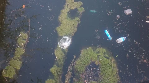 A Large Amount Of Trash Polluting Our Waters.Garbage. Video stock 244697773