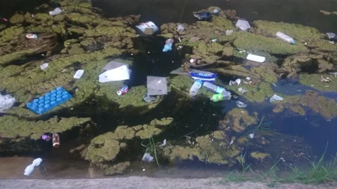 A Large Amount Of Trash Polluting Our Waters.Garbage. Stock Footage 244698402