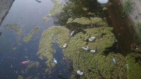 A Large Amount Of Trash Polluting Our Waters.Garbage. Video stock 244699405