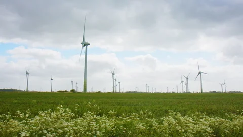 Large amount of Wind Turbines on a field in East Frisia on a windy summer day Stock Footage 243741283
