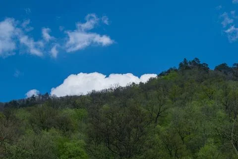 Large and fluffy cloud behind a hill covered with vegetation. Stock Photos
