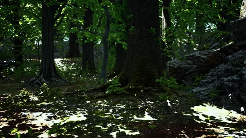 Large and long tree roots with moss Stock Footage 229466587