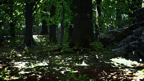 Large and long tree roots with moss Stock Illustration