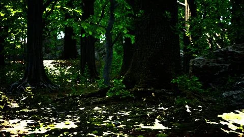 Large and long tree roots with moss Stock Illustration