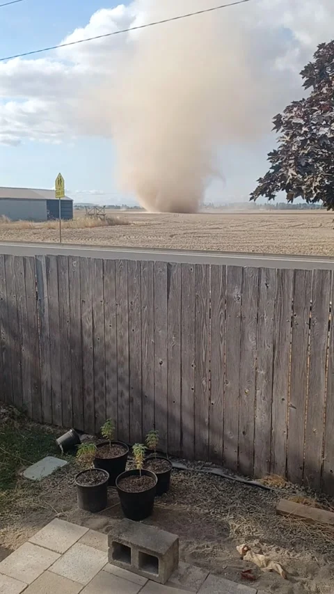 Large And Silent Dust Devil Sweeps Across Backyard, Independence, Oregon, USA -  Stock Footage 248990955