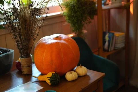 Large and small decorative pumpkins on a wooden table as a home decoration .. Foto stock