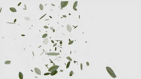 Large and small green leaves moving on a transparent background from far and nea 스톡 동영상 321007148