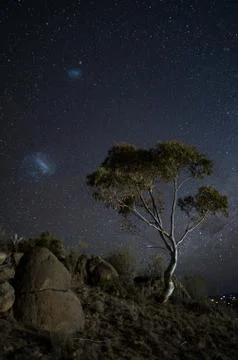 Large and Small magellanic clouds hovering over an Australian gum tree Stock Photos