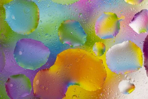 Large and small multi-colored drops of water with a different gradient of oil Stock Photos