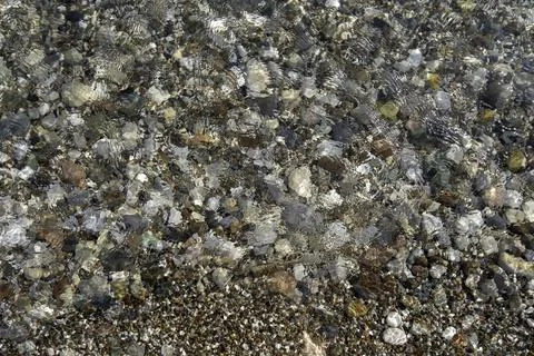 Large and small multi-colored pebble stones on the beach under clear water Stock Photos