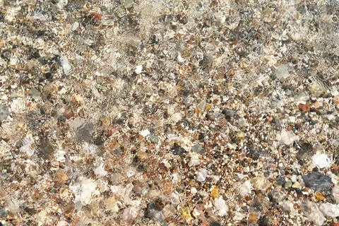 Large and small multi-colored pebble stones on the beach under clear water Stock Photos