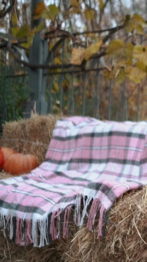 Large and small pumpkins lie on the lid of an old wooden oak barrel for pickling Stock Footage 254914585