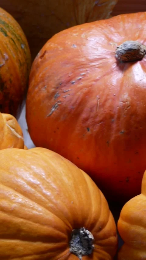 Large and small ripe orange pumpkins on a wooden board with yellow maple leaves Stock Footage 317849687
