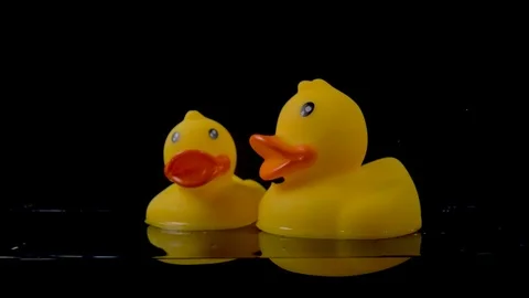 Large and small rubber ducks float on the surface of the water on a black Stock Footage 105860635
