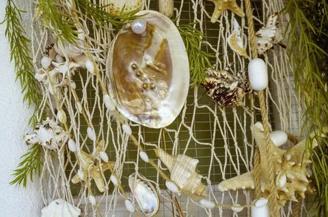 Large and small seashells arranged on a white fishing net. It creates a marine Stock Photos