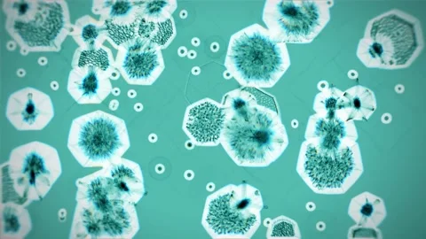 Large and small virus cells move slowly on a pale green background. Stock Footage 219663511