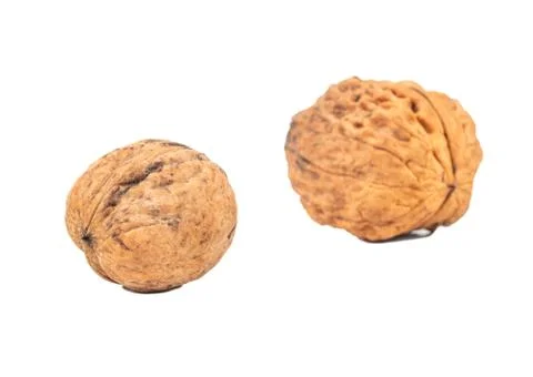 Large and small walnut Stock-Fotos