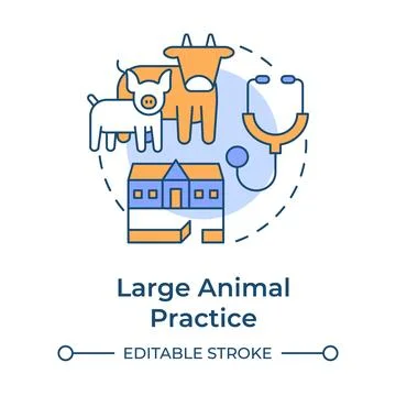 Large animal practice flat linear concept icon 库存插图