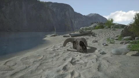 A large animal skull on a sandy surface Illustrazione stock