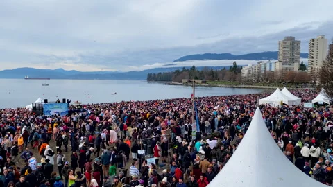 Large Anonymous Crowded Beach Walking For Vancouver Polar Bear Swim Stock Footage 260271866