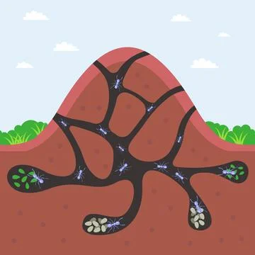 A large anthill with passages underground. Stock Illustration