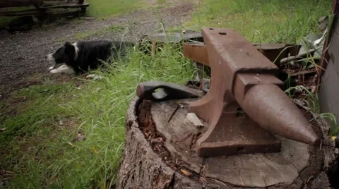 Large anvil with dog in background Stock Footage 59120761