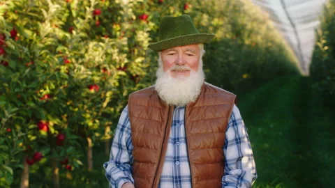 Large apple orchard good looking old man farmer holding a red organic apple from Video stock 166571048